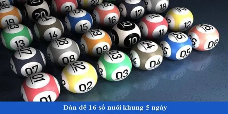 Phương pháp lô rơi cách tìm ra dàn đề 16 số như thế nào?